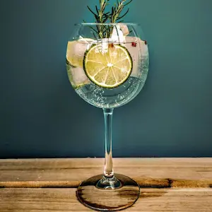 Drinks Gin Tônica Importado