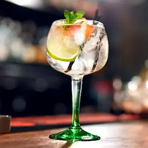 Drinks Gin Tônica Nacional