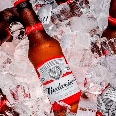 cerveja_bud_longneck